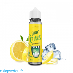 Freeze Citrus E-liquide 50ml - Liquideo - ciklopvertou.fr cigarette électronique 44