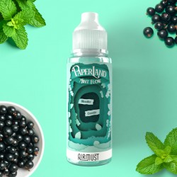 Mint Flow 100ml - Paperland